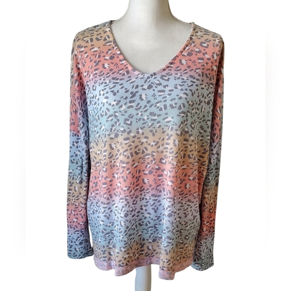 Tops - Lovely J Multicolor Pastel Leopard Print Knit Top V-Neck Long Sleeve Size M